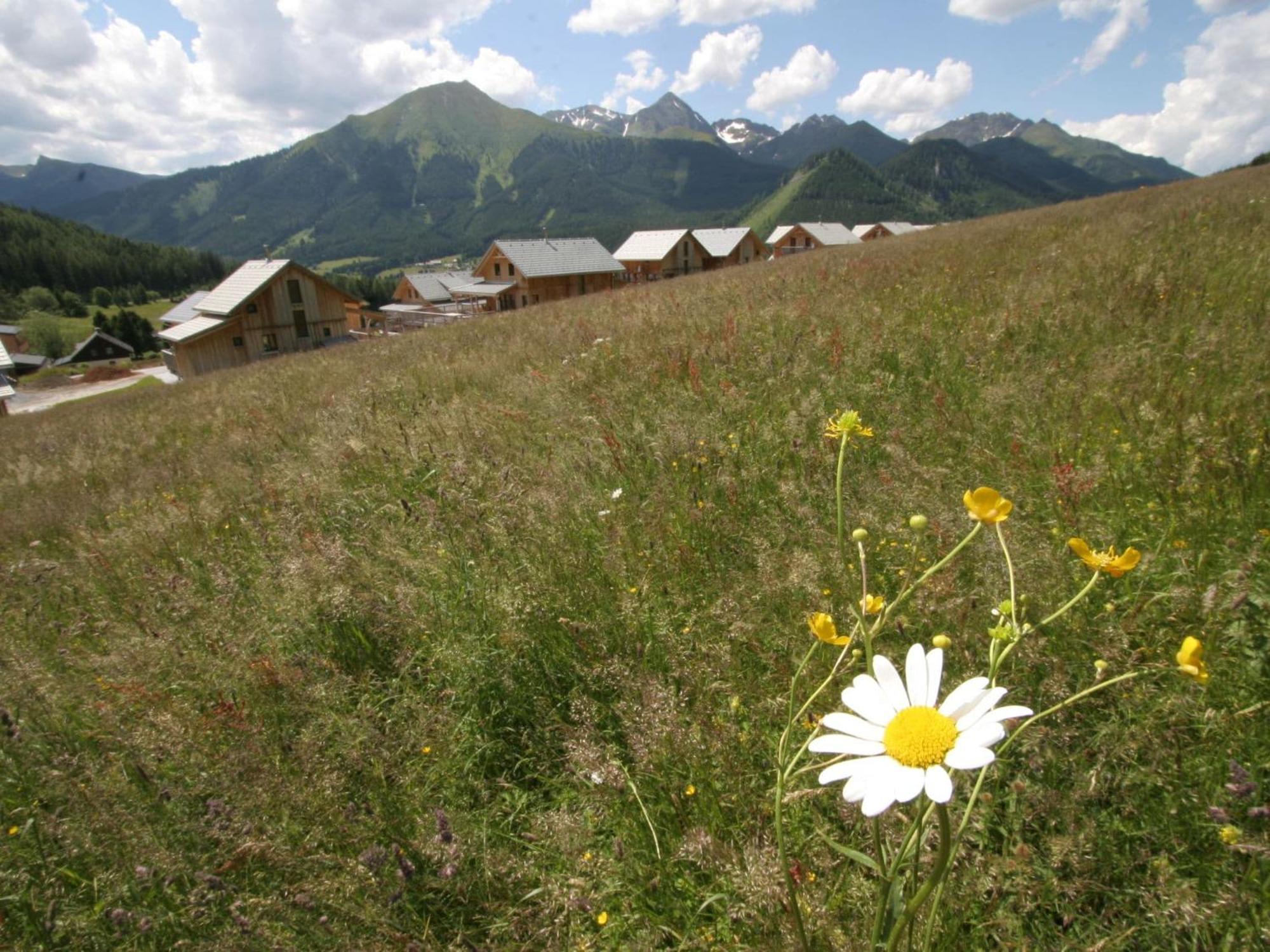 Nice Chalet In Hohentauern Styria With Sauna Villa Eksteriør bilde